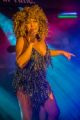 Tina Turner Tribute