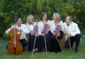 The Light Ensemble