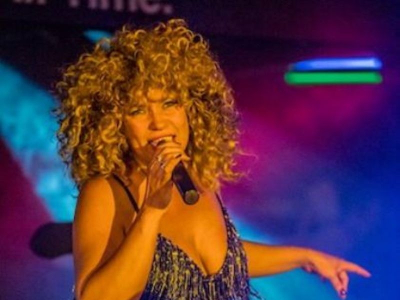 tina turner tribute
