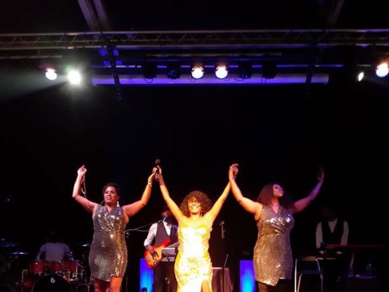 whitney houston tribute