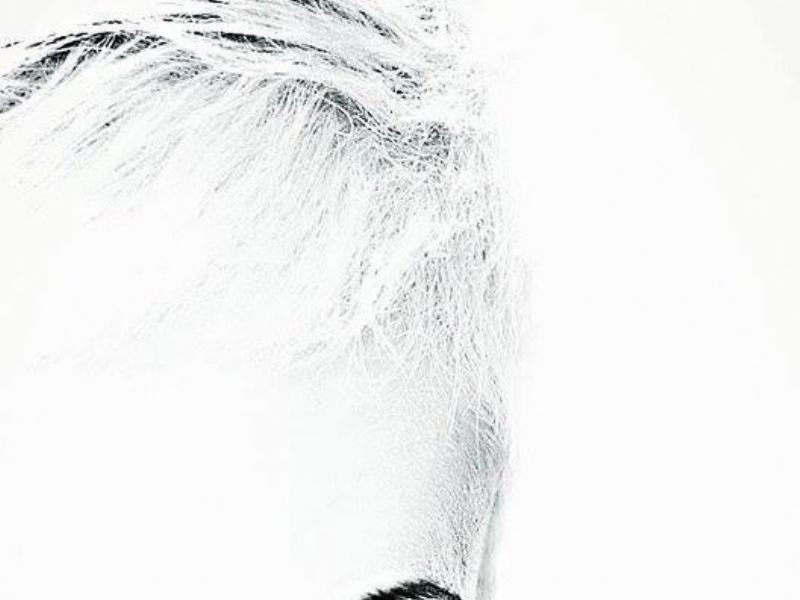 annie lennox by stacy