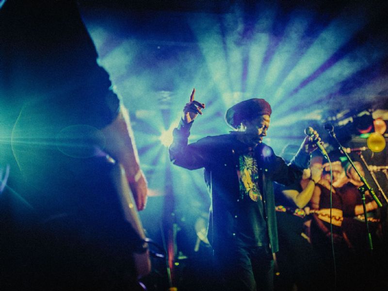 the bob marley tribute
