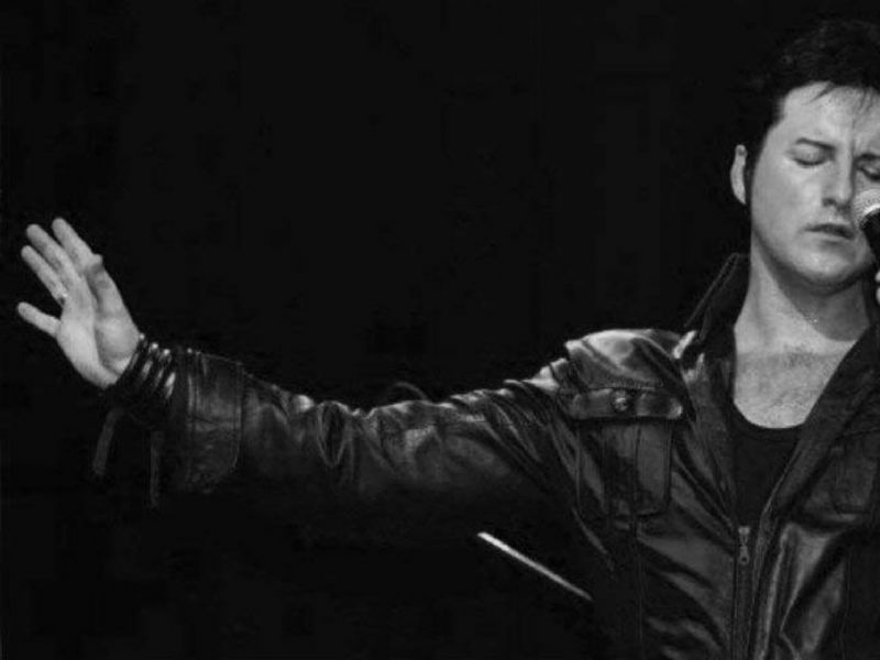elvis by paul m