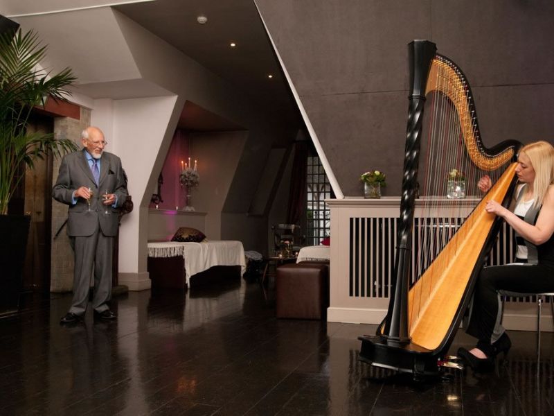 jem harpist