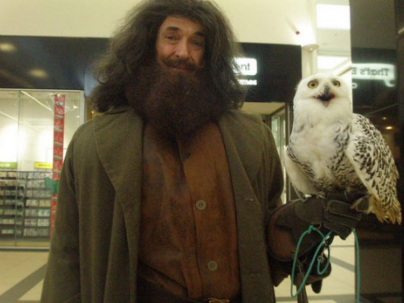 hagrid lookalike