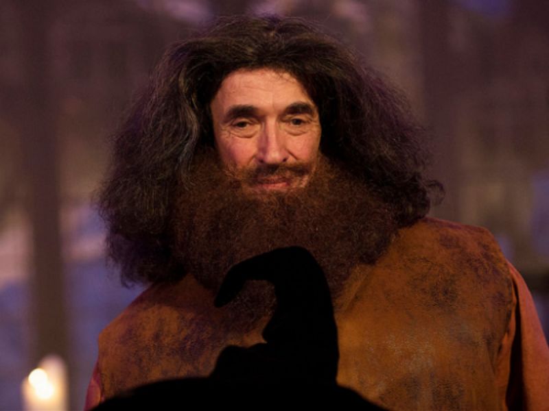 hagrid lookalike