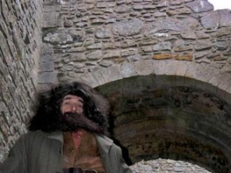 hagrid lookalike