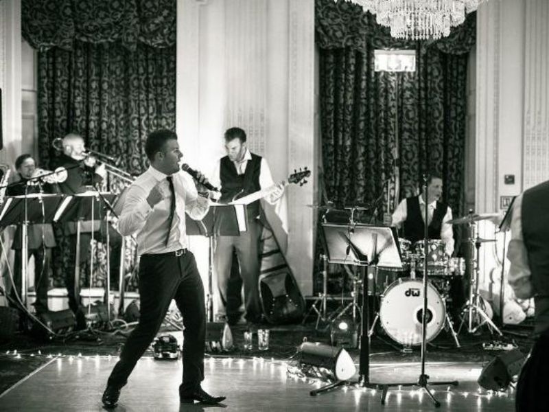 tom fitz and co