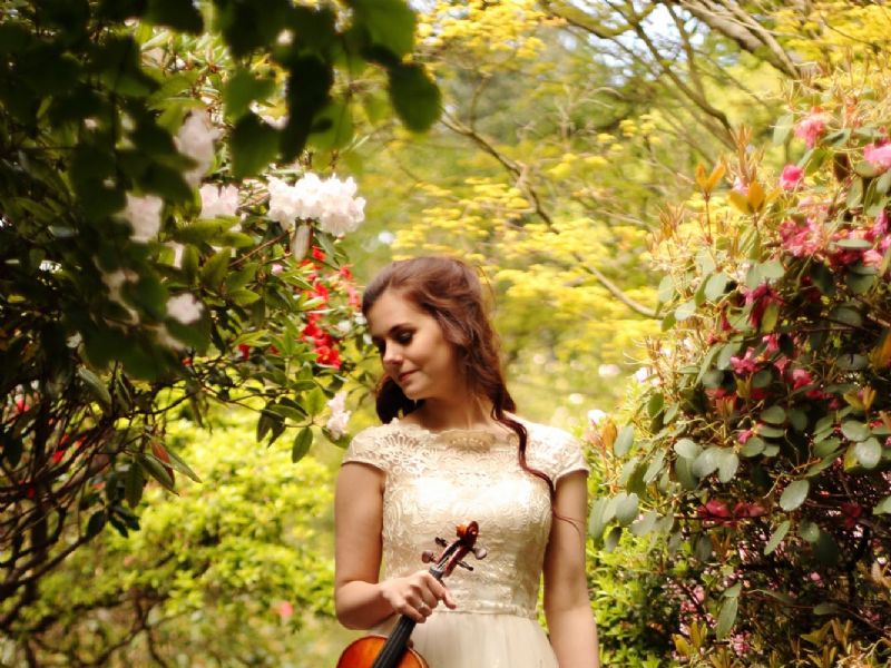 lauren electric violinist
