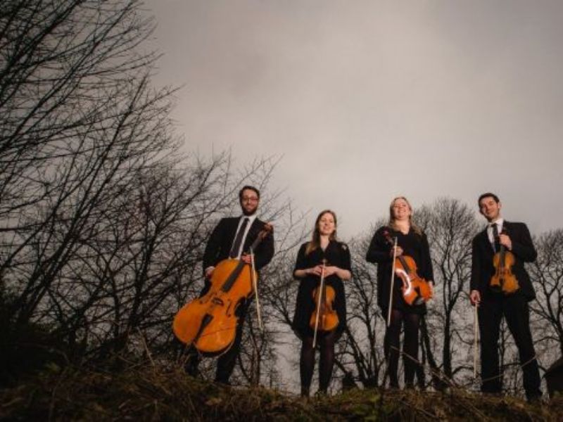 many strings quartet