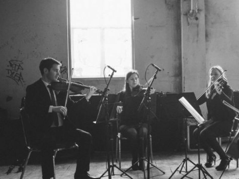 many strings quartet