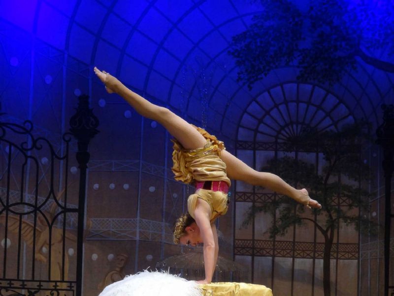 no and jo magic act