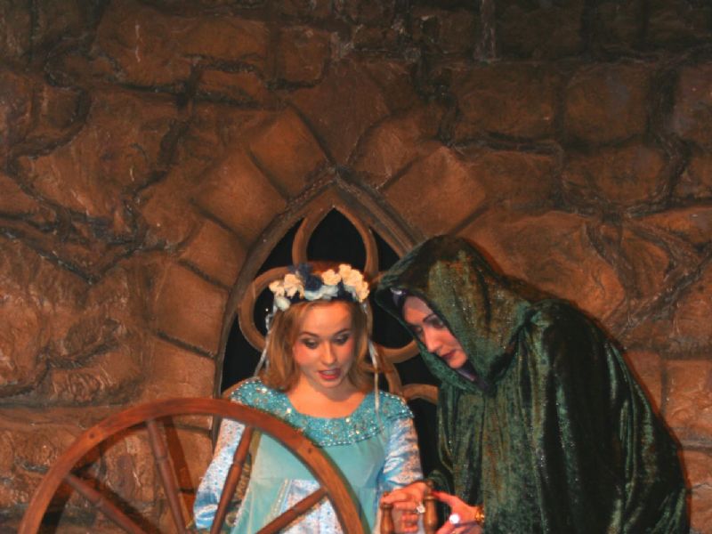 pop up panto