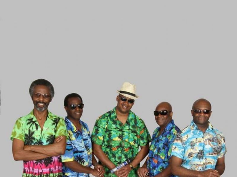 rock the reggae