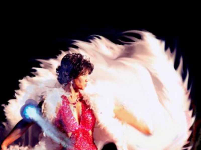 shirley bassey tribute act