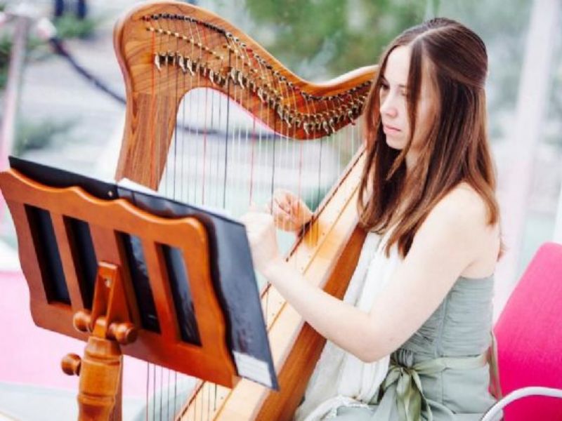 susan harpist