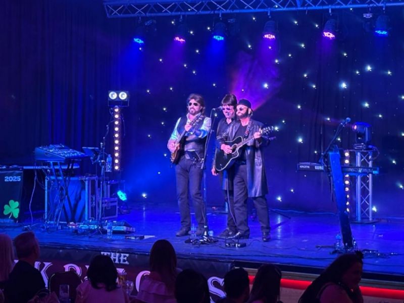 the bee gees tribute experience