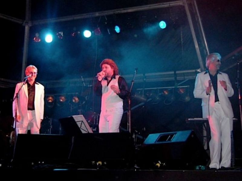 the beegees tribute show