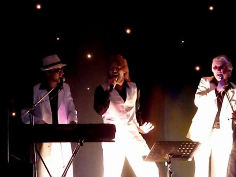 the beegees tribute show