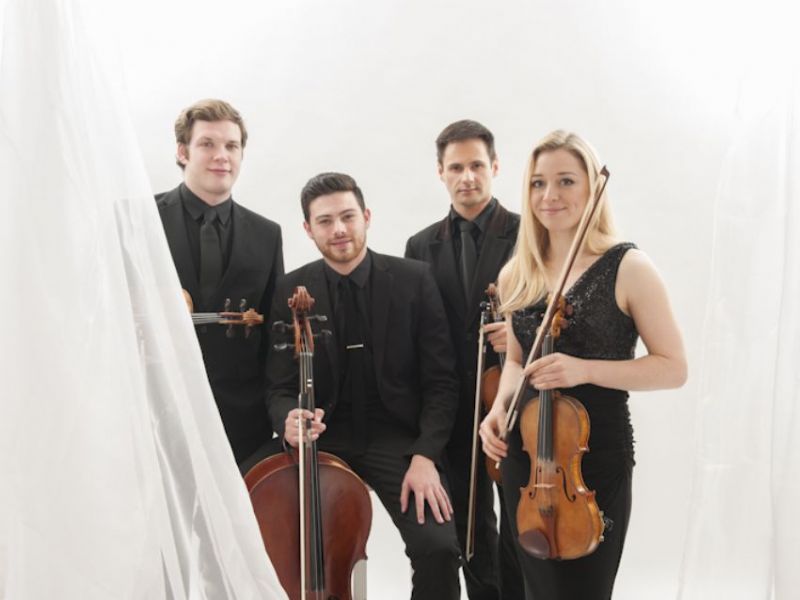 the string quartet