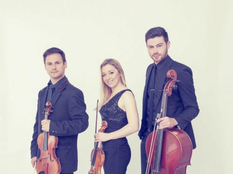 the string quartet