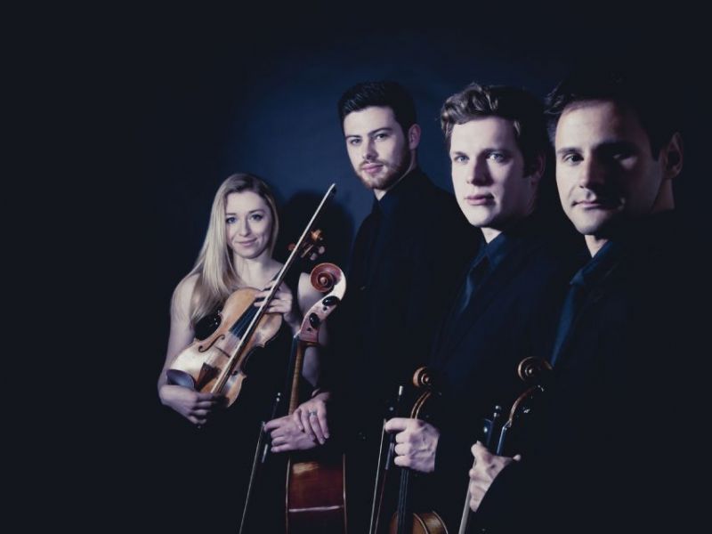 the string quartet