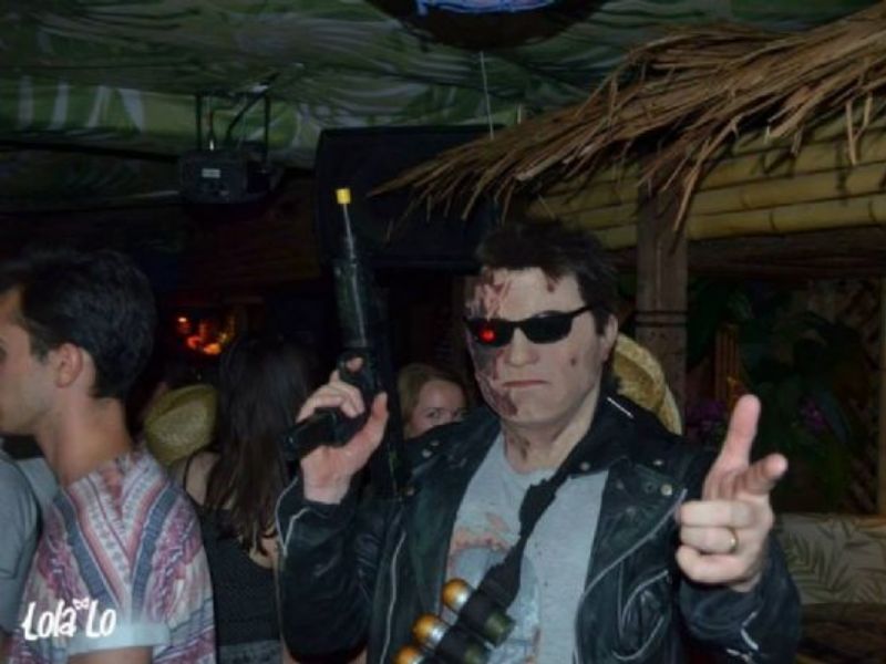 the terminator arnold schwarzenegger