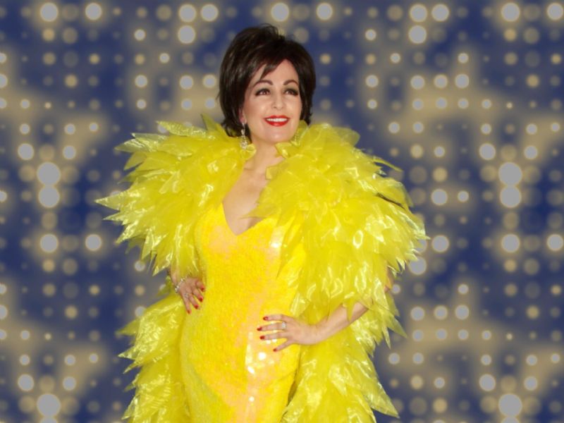 the ultimate shirley bassey tribute show