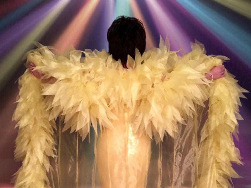 the ultimate shirley bassey tribute show