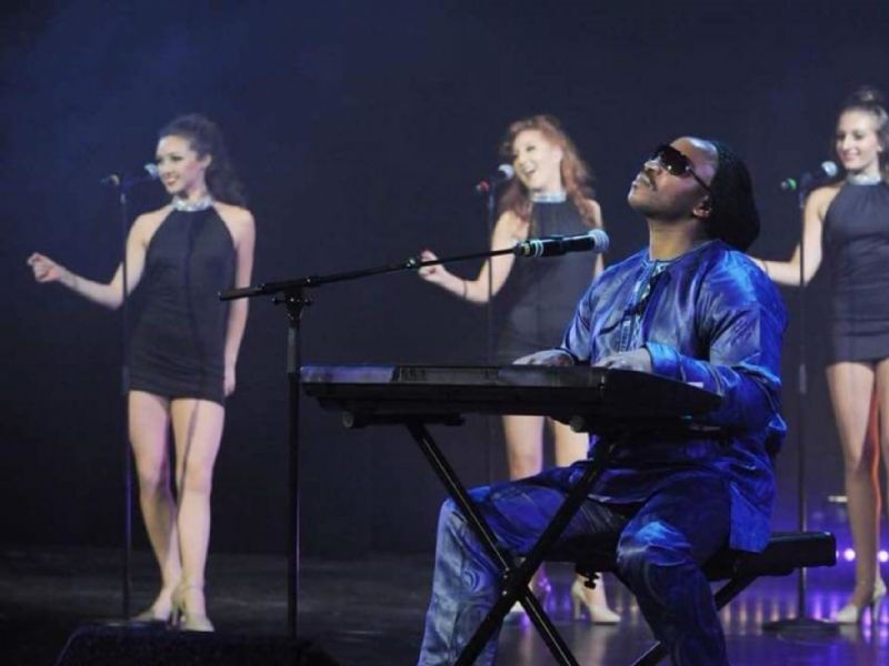 the wonder of stevie