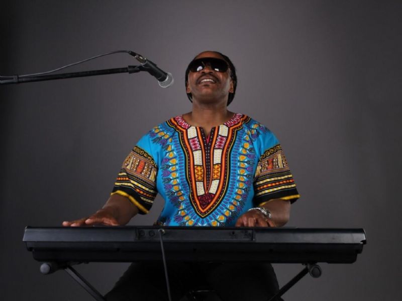 the wonder of stevie