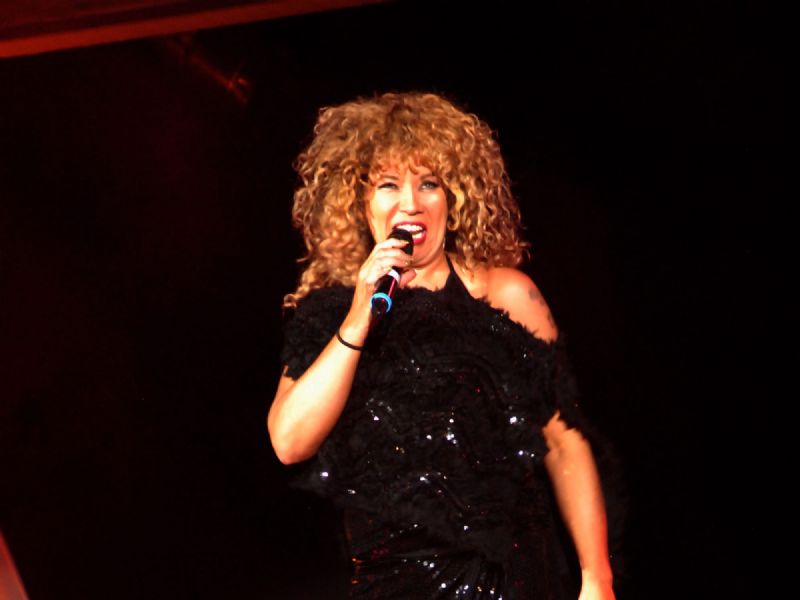 tina turner tribute