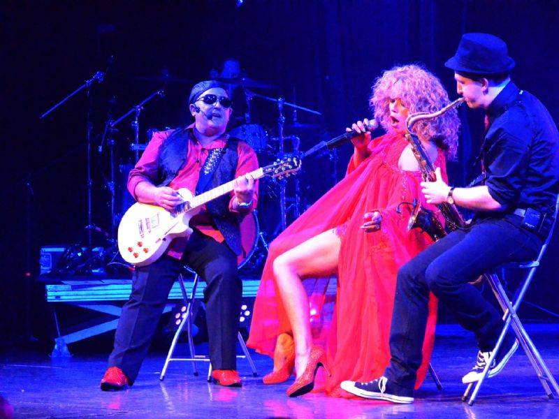 tina turner tribute