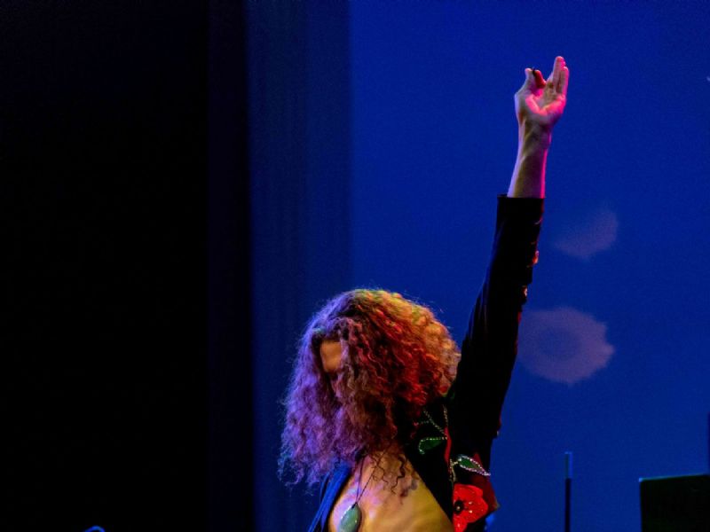 tribute to led zeppelin