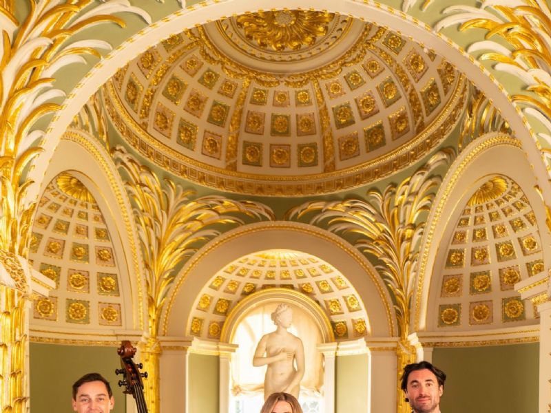 victoria fox collective