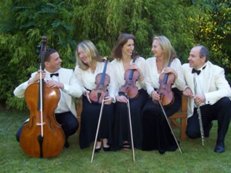 the light ensemble