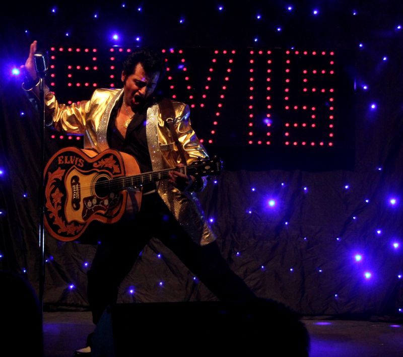 andy r elvis tribute