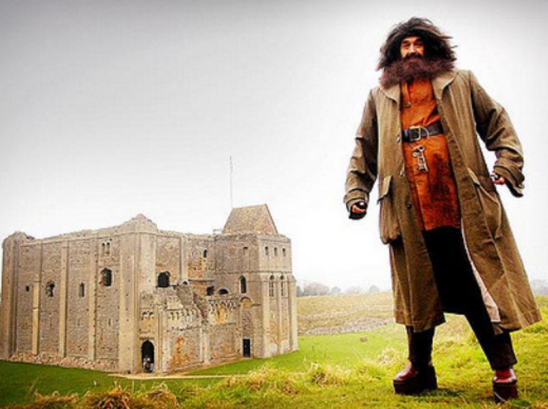 hagrid lookalike