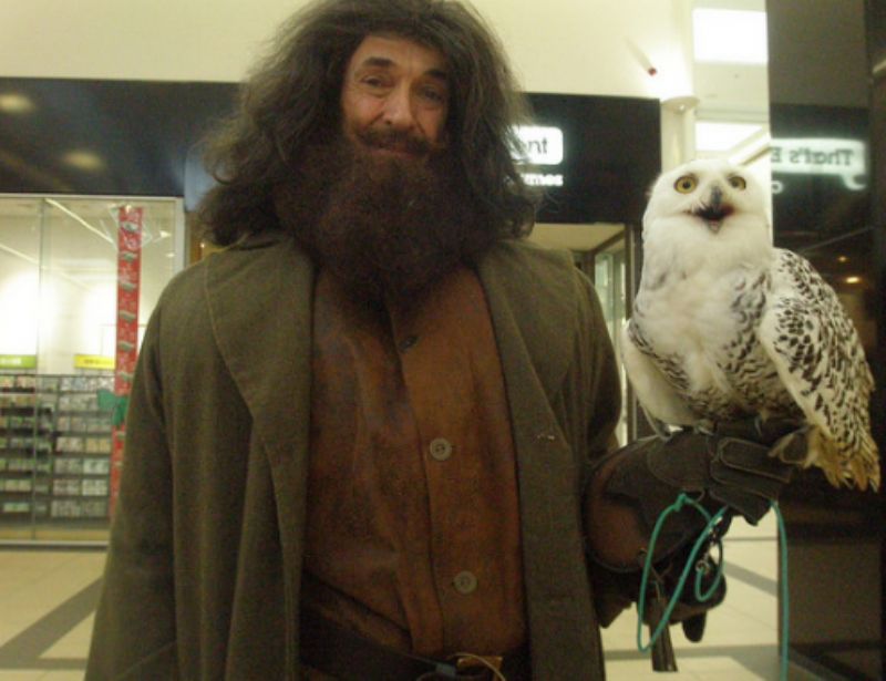 hagrid lookalike