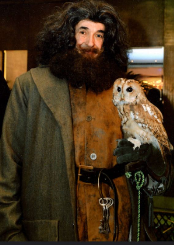 hagrid lookalike