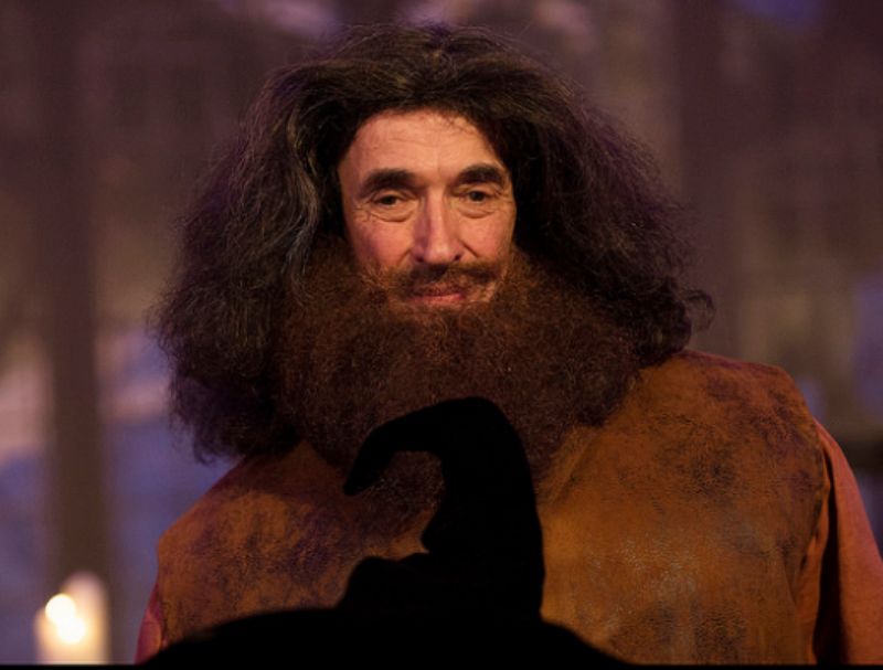 hagrid lookalike