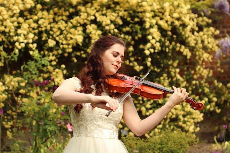 lauren electric violinist