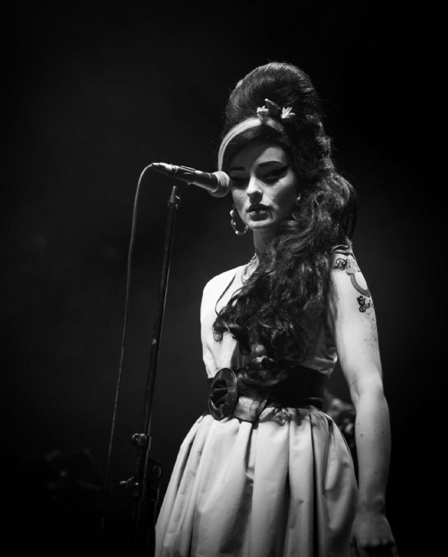 the amy experience