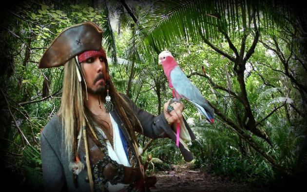 Gallery: Captain Sparrow