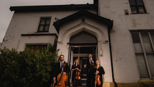 Gallery: Many Strings Quartet