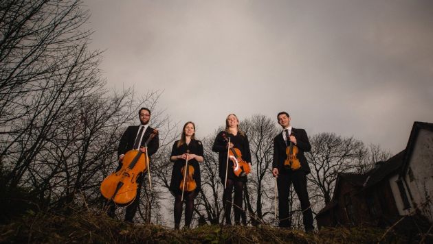 Gallery: Many Strings Quartet