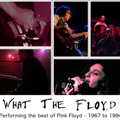 pink floyd tribute