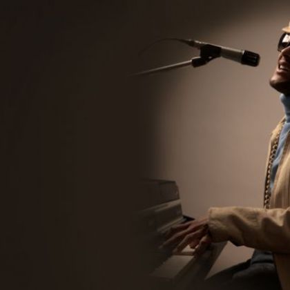 The Stevie Wonder Tribute Band