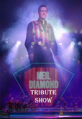 Neil Diamond Tribute Show by SR
