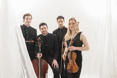 The String Quartet